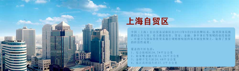 中机院上海自贸区规划
