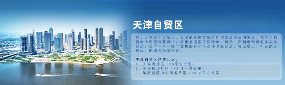 中机院天津自贸区规划