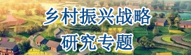 乡村振兴战略研究专题