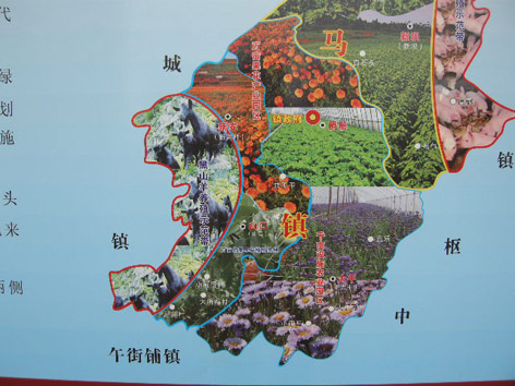 黑山羊产业发展规划