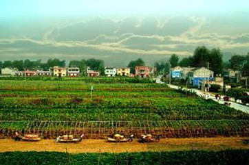  Planning of Changshan Agricultural Ecological Sightseeing Park in Wuhan, Hubei Province