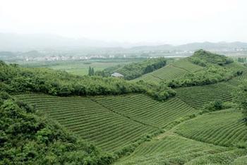  An ecological leisure agricultural park in Hangzhou, Zhejiang