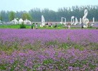 陕西宝鸡市“十二五”休闲农业发展规划