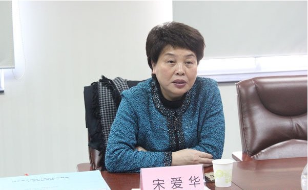 湖南省岳阳市副市长宋爱华