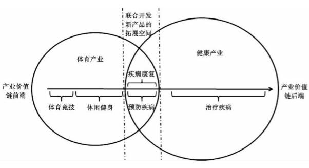 体育产业与健康产业协同发展模式示意图