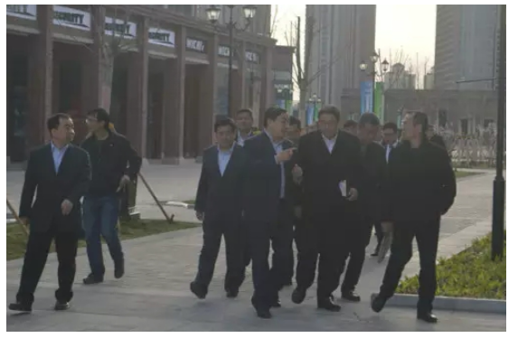 李树起考察浙江特色小镇规划