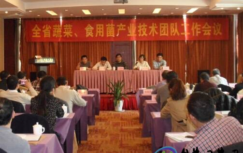 浙江磐安县加速食用菌产业转型升级会议