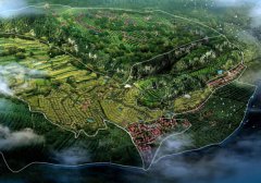  Overall Construction Plan of Madu Shilin Tea Sea Sightseeing Agricultural Park in Xuanhan County, Sichuan Province