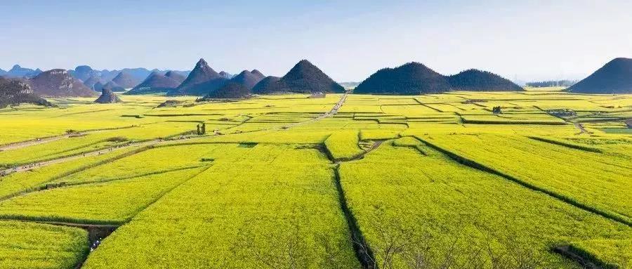 文旅振兴乡村规划,文旅振兴乡村编制