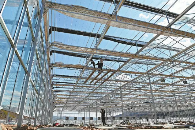 涪昭现代农业产业园规划建设