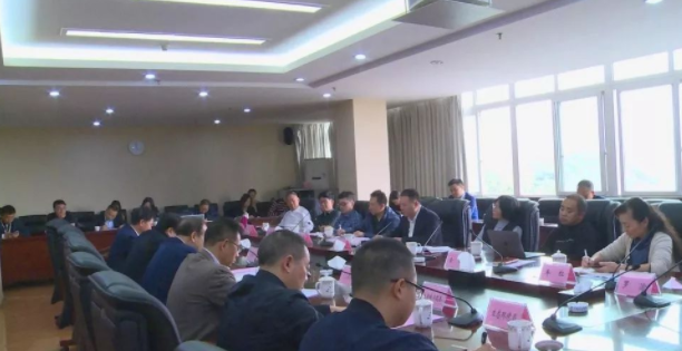 重庆垫江县召开市文旅委“十四五”规划试点研究工作座谈会
