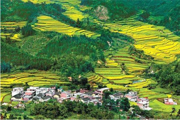 乡村产业规划,乡村产业规划发展措施