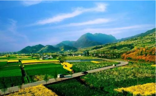 扬州市大同村农业观光园规划设计，乡村旅游发展规划