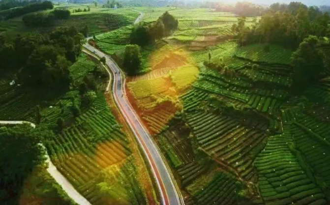 乡村旅游产业园区规划,乡村旅游产业园区开发研究