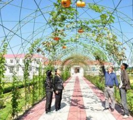  Planning of Sightseeing Agricultural Industrial Park