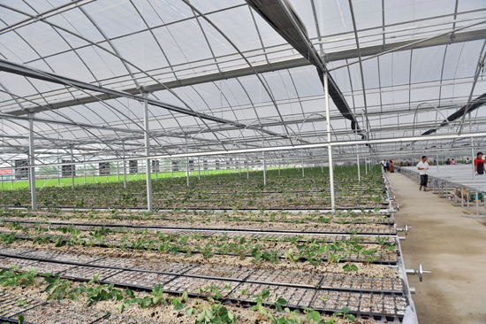 常熟泗洪工业园区建设规划