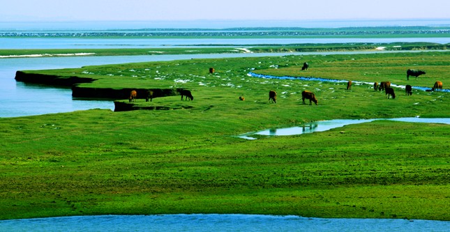 中机院专家对环鄱阳湖地区休闲农业旅游发展研究