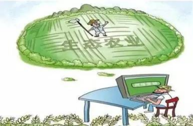 中机院专家认为'互联网+'正向生态农业产业发展不断渗透