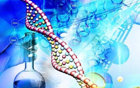 生物医药产业板块有望接棒成为最后一个季度的领军板块