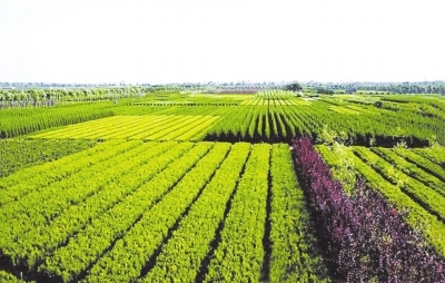 金融支持现代生态农业产业化|金融支持现代生