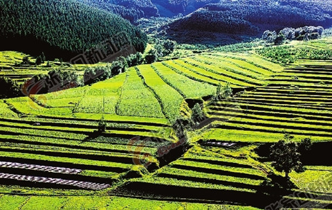 张家口是首都的天然生态屏障和京津冀水源涵养功能区