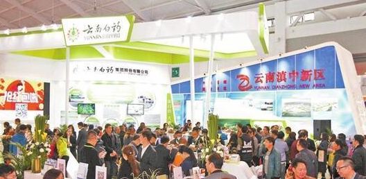 大健康产业确定为昆明市未来重点发展的战略性新兴产业
