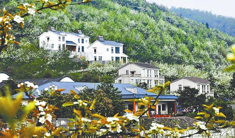 德阳市品牌创建 促进乡村旅游转型升级