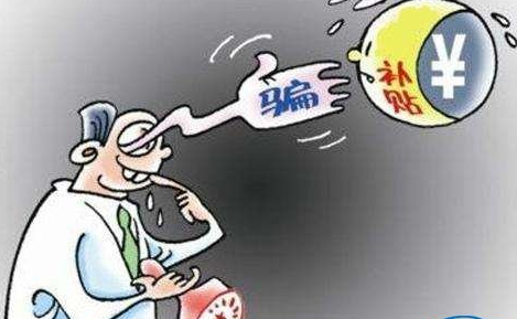 一场骗补惊动国内外