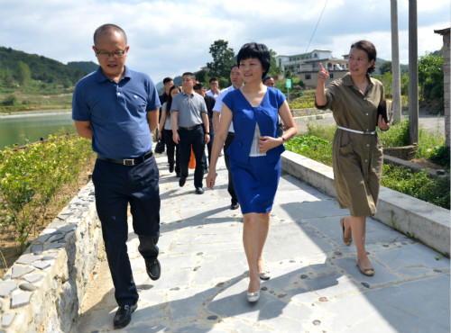朱丽霞到永乐乡水塘村调研推进“桃花坞”富美乡村田园综合体建设