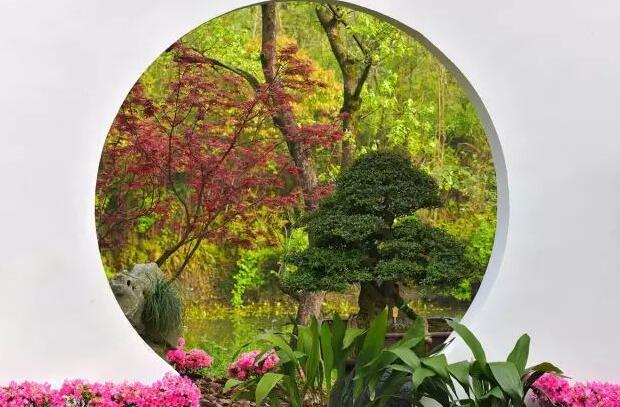 园林景观中的重头戏——植物景观设计 