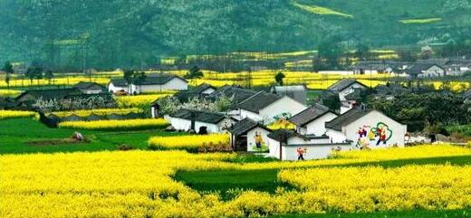 中国乡村休闲旅游九大新业态，多个成功案例剖析解读