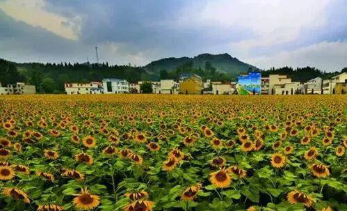 中国乡村休闲旅游九大新业态，多个成功案例剖析解读