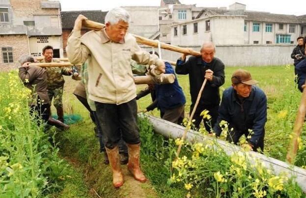 建设什么样的特色小镇和美丽农村?