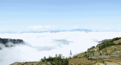 田园综合体怎么做？三产融合发挥产业链价值