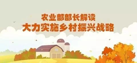 解读十九大重大的战略决策：乡村振兴战略