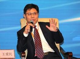王爱民:一带一路园区建设为文化创意产业走出去开拓了新的渠道
