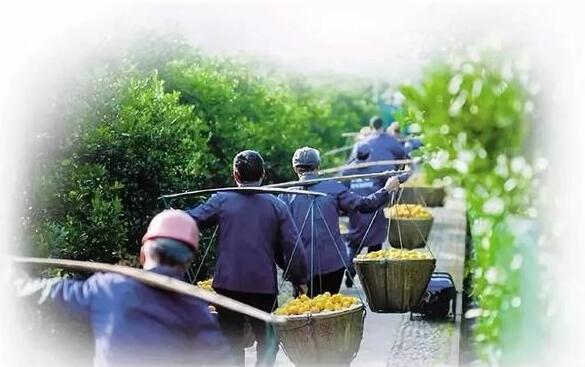 “旅游+”“住宿+”新模式，促进产业深度融合发展