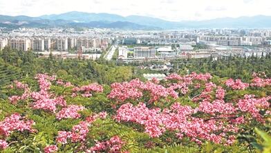 在长江经济带建设中,普洱要扮演怎样的角色?