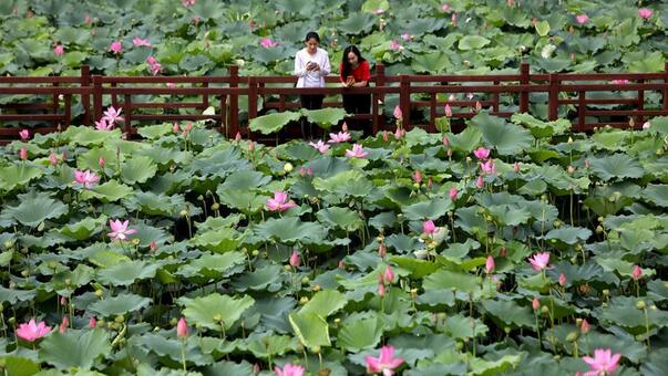河北将构建“一圈带动、两翼齐飞、五区支撑”的全域旅游新格局