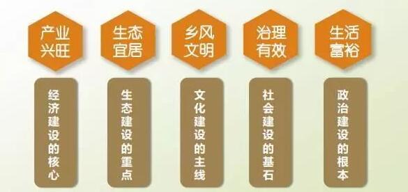 实现乡村振兴最接地气全套方略！