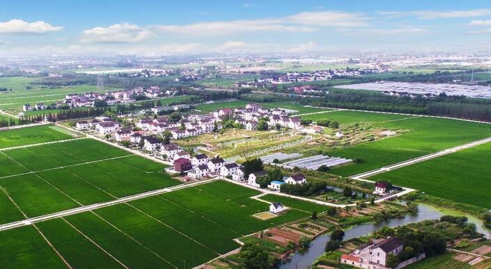 目前东莞市已经初步搭建起“1+1+N”的乡村振兴政策体系