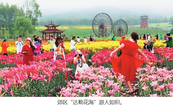 佳木斯市出台《郊区实施乡村振兴战略三年(2018—2020年)行动方案》