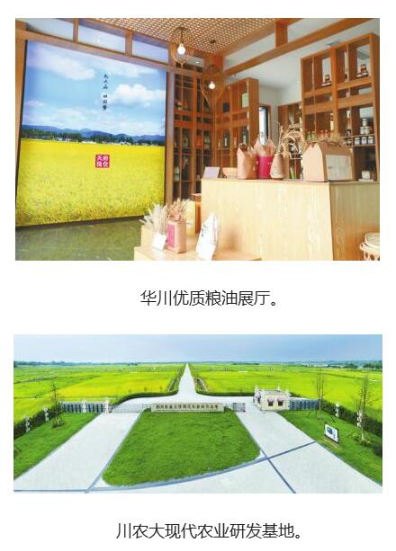 崇州乡村振兴发展