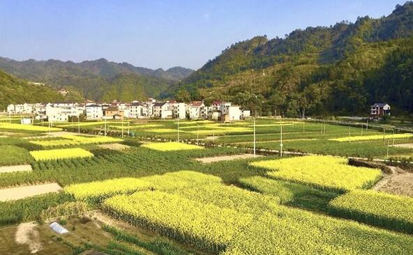 重庆奉节县将重点打造打造29个乡村振兴示范点