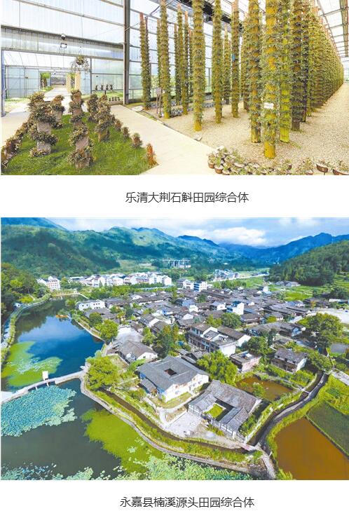 温州市共谋划了109条乡村振兴示范带，今年率先启动22条示范带的建设