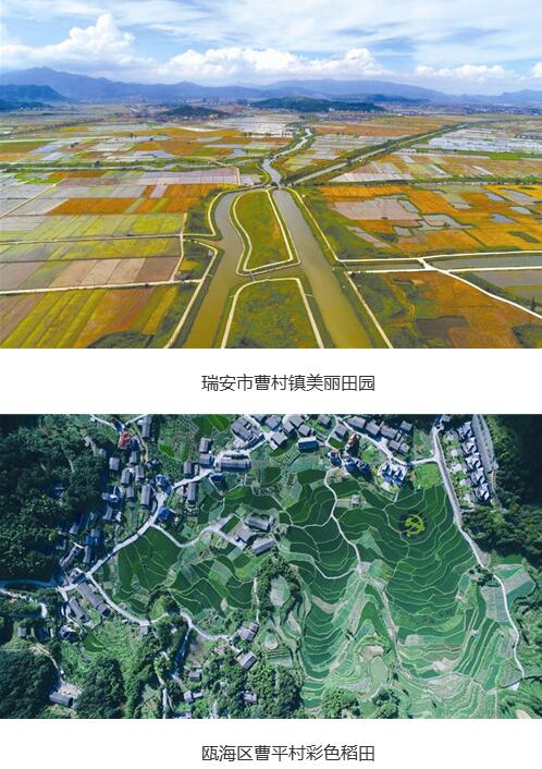 温州市共谋划了109条乡村振兴示范带，今年率先启动22条示范带的建设