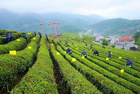 山东印发《推进乡村人才振兴若干措施》：乡村人才振兴20条