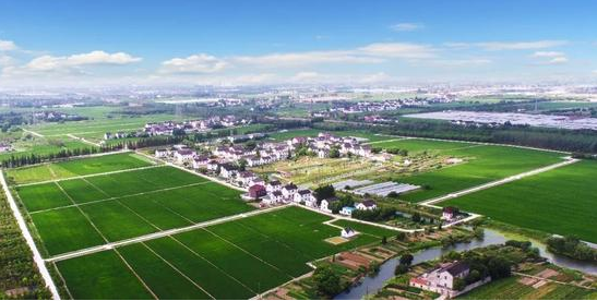 吉林省构建现代农业生产体系——夯实根基，不竭动力汩汩来