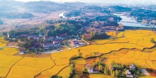 《乡村振兴战略规划（2018－2022年）》五年发展战略部署
