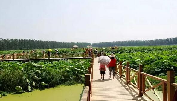 庞大的市场潜力下，休闲农业玩的到底是什么?